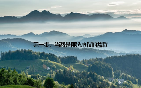 第一步, 当然是挑选心仪的盆栽