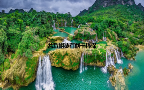 盆栽租赁有利于环保