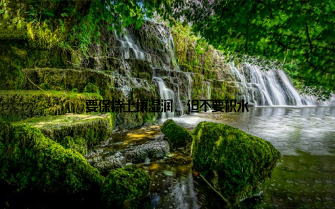 要保持土壤湿润, 但不要积水