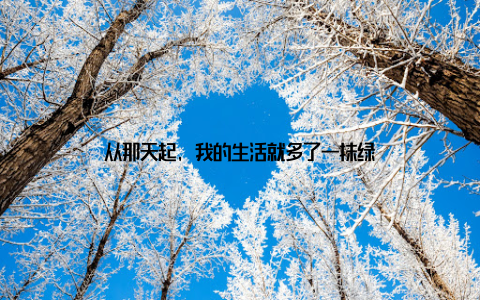 从那天起, 我的生活就多了一抹绿