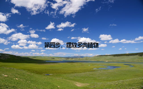 第四步, 摆放多肉植物