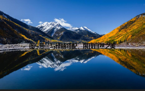 图5葱兰与绿植搭配, 展现自然之美