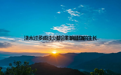 浇水过多或过少都会影响植物的生长