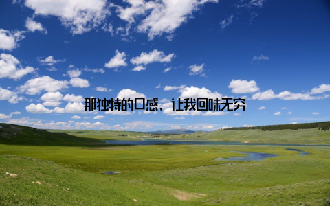 那独特的口感, 让我回味无穷