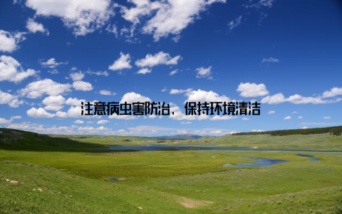 注意病虫害防治, 保持环境清洁