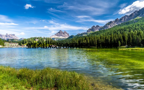 虫害肉桂常见的虫害有蚜虫、红蜘蛛等