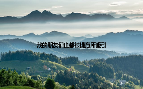 我的朋友们也都被绿意所吸引