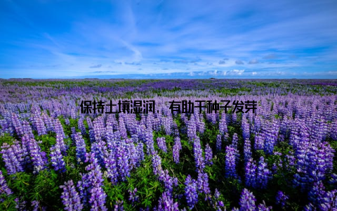 保持土壤湿润, 有助于种子发芽