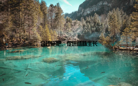 合理施肥, 促进植株生长