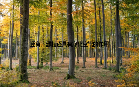 还有, 绿植还具有净化空气的作用