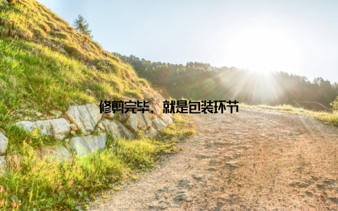 修剪完毕, 就是包装环节