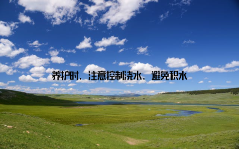 养护时, 注意控制浇水, 避免积水