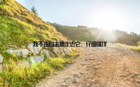 我不由自主地走近它, 仔细端详