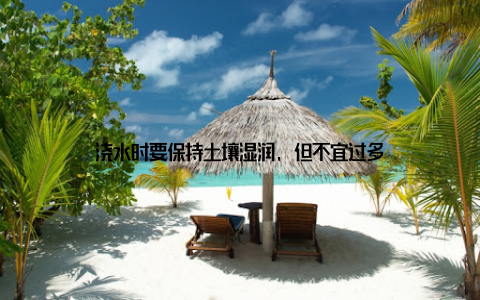 浇水时要保持土壤湿润, 但不宜过多