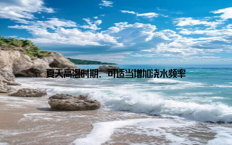 夏天高温时期, 可适当增加浇水频率