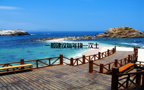 一般建议每年换一次土