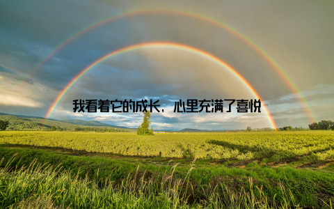 我看着它的成长, 心里充满了喜悦