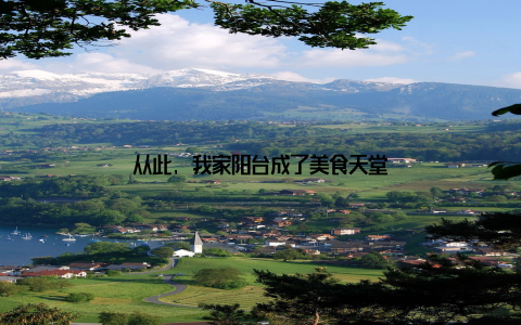 从此, 我家阳台成了美食天堂