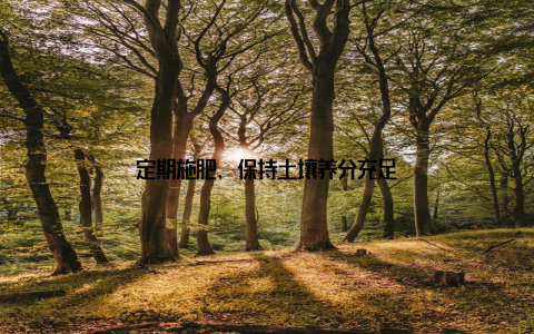 定期施肥, 保持土壤养分充足