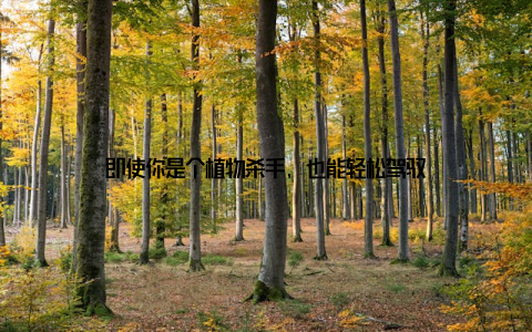 即使你是个植物杀手, 也能轻松驾驭