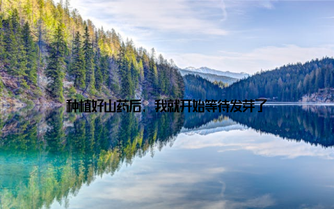 种植好山药后, 我就开始等待发芽了