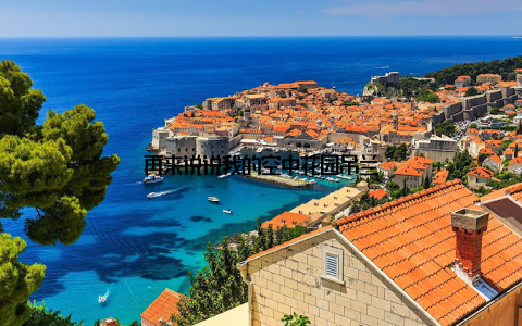 再来说说我的空中花园吊兰