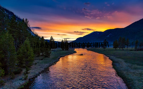 浇水是柠檬树养护中的关键环节