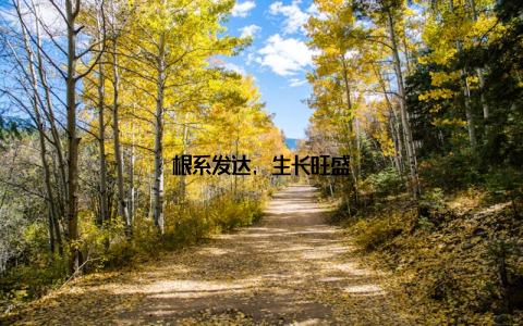 根系发达, 生长旺盛