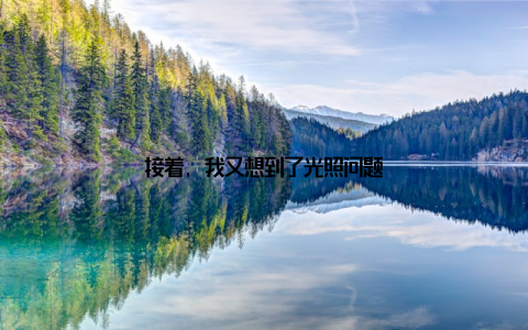 接着, 我又想到了光照问题