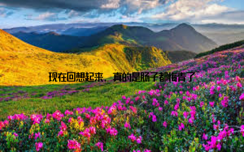 现在回想起来, 真的是肠子都悔青了