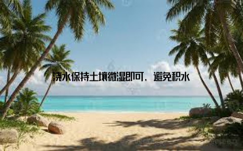 浇水保持土壤微湿即可, 避免积水