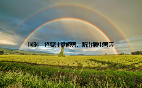 同时, 还要注意修剪、防治病虫害等