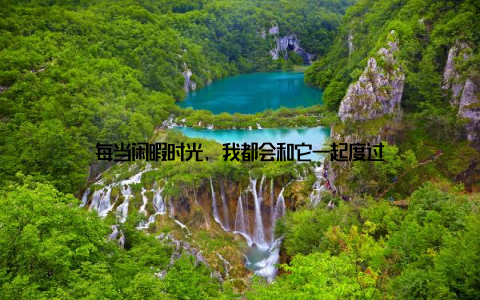 每当闲暇时光, 我都会和它一起度过