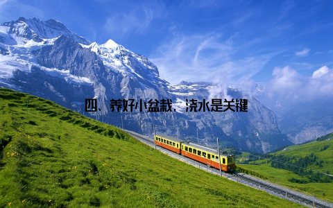 四、养好小盆栽, 浇水是关键