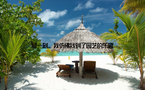 那一刻, 我仿佛找到了园艺的乐趣