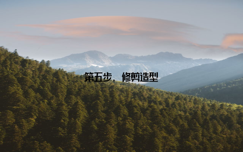 第五步, 修剪造型