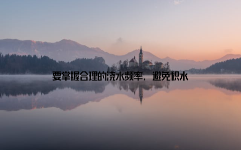 要掌握合理的浇水频率, 避免积水