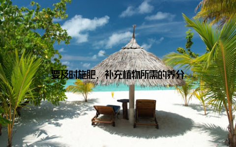 要及时施肥, 补充植物所需的养分