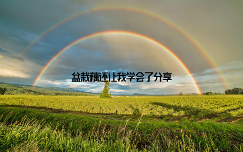 盆栽藕还让我学会了分享