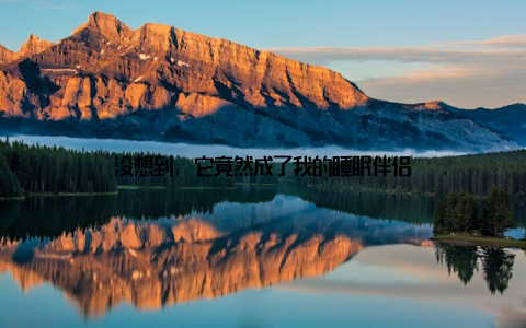 没想到, 它竟然成了我的睡眠伴侣