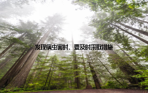 发现病虫害时, 要及时采取措施