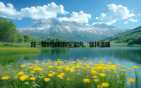 我一般将盆栽移至室内, 保持温暖