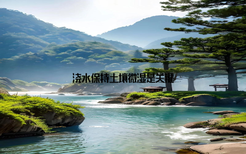 浇水保持土壤微湿是关键