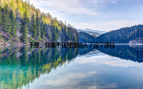 于是, 我毫不犹豫地加入了这个项目