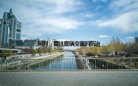 同时, 要注意病虫害的防治