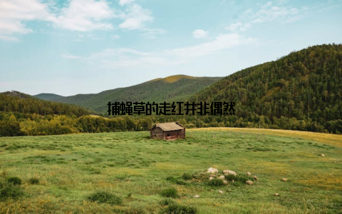 捕蝇草的走红并非偶然