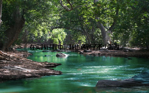 在实践过程中, 我也遇到了不少困难