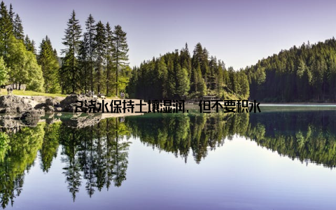 2浇水保持土壤湿润, 但不要积水