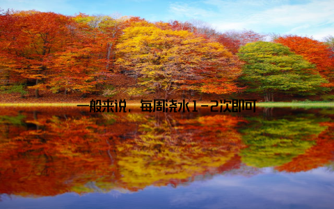 一般来说, 每周浇水1-2次即可