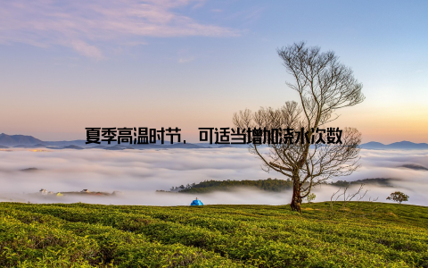 夏季高温时节, 可适当增加浇水次数